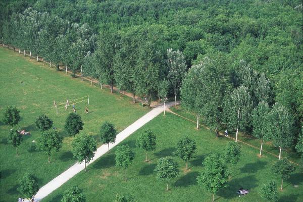 Cinisello Balsamo - Parco Nord, settore Est - Veduta dall'alto - Prato antistante la Cascina Centro Parco - Filari di alberi - Boschi - Cannocchiale degli ippocastani - Persone - Tempo libero (pallavolo)