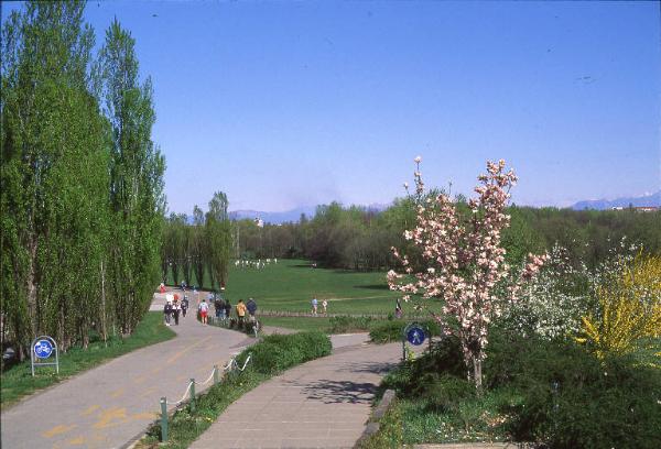 Sesto San Giovanni - Parco Nord, settore Est - Veduta del parco dalla Passerella ciclopedonale Clerici verso la Cascina Centro Parco - Percorsi ciclopedonali - Persone a passeggio, di corsa, che giocano a calcio - Cespugli in fiore