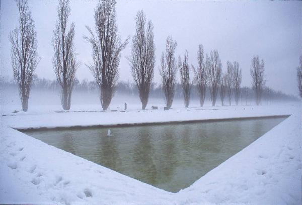 Cinisello Balsamo - Parco Nord, settore Est - Fontana Triangolare con la neve - Filare dei pioppi cipressini - Inverno