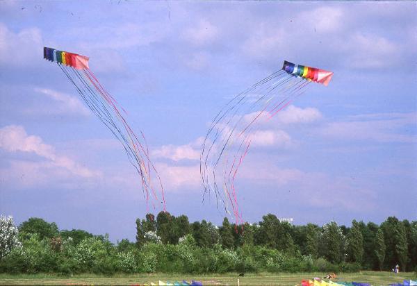 Cinisello Balsamo - Parco Nord, settore Est - zona verso l'autostrada Milano-Venezia - Prato con persone - Cielo con aquiloni in volo - Aquilonata - Alberi - Vento