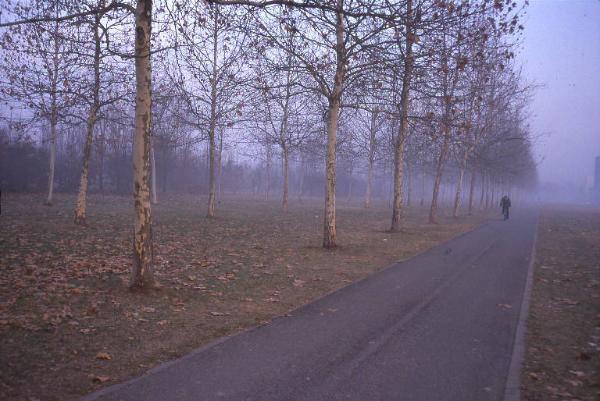 Cinisello Balsamo - Parco Nord, settore Est - Percorso ciclopedonale che costeggia via Gorki nei pressi della Grande Rotonda (sulla sinistra) - Filari di alberi (platano) - Persona in bicicletta - Nebbia - Inverno