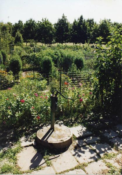 Sesto San Giovanni - Parco Nord, settore Montagnetta - Orti sociali - Fontanella per innaffiare - Fiori - Ortaggi