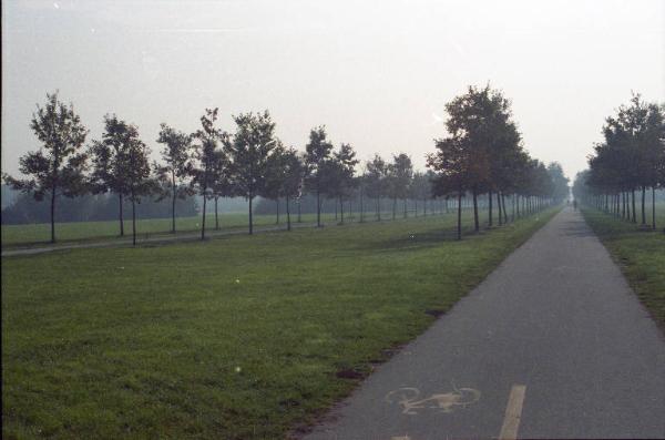 Cinisello Balsamo - Parco Nord, settore Est - Filari di alberi (cerro) - Percorsi ciclopedonali