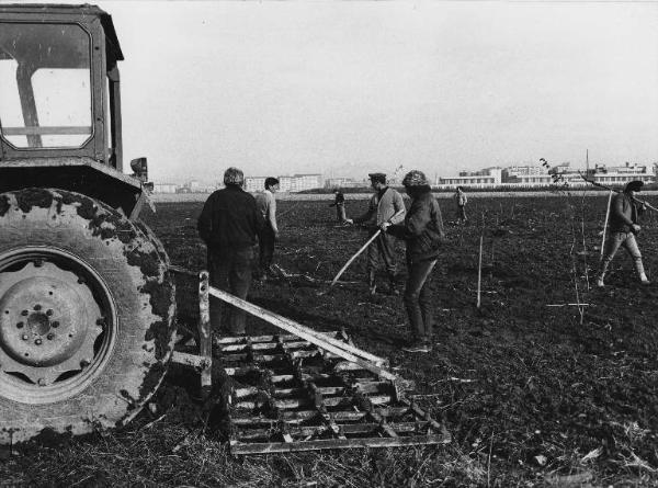 Sesto San Giovanni - Parco Nord, settore Est - Inaugurazione rimboschimento (1980) - Campo con nuove piantumazioni - Operai a lavoro - Trattore - Sullo sfondo Centro scolastico Parco Nord