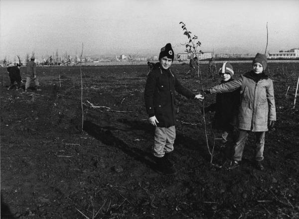 Sesto San Giovanni - Parco Nord, settore Est - Inaugurazione rimboschimento (1980) - Campo con nuove piantumazioni - Operai a lavoro - Ritratto infantile - Bambini delle scuole elementari - Sullo sfondo Centro scolastico Parco Nord