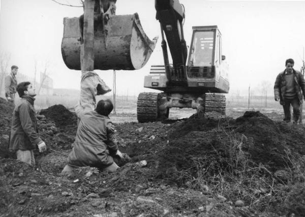 Sesto San Giovanni - Parco Nord, settore Montagnetta - Nuova piantumazione - Operai a lavoro - Ruspa - Inverno - Sullo sfondo il piccolo carroponte Breda