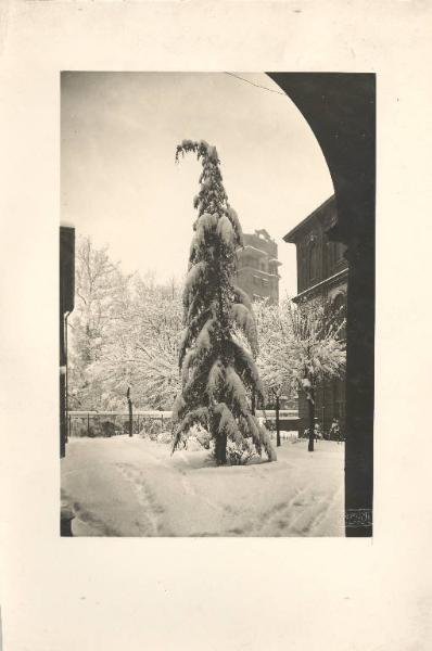 Istituto dei Ciechi di Milano - Edificio e giardino sotto la neve - Albero