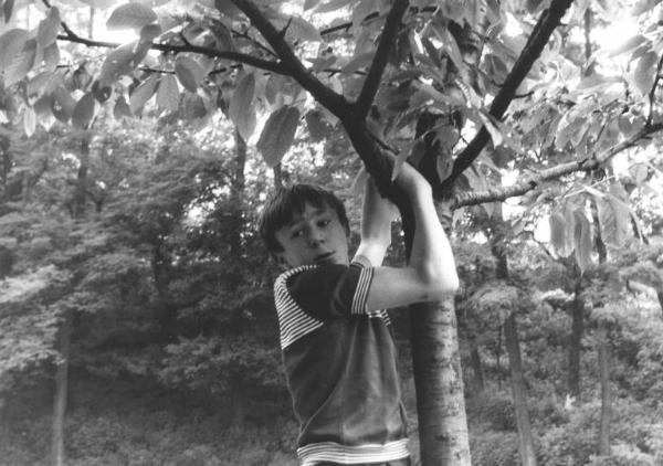 Gita scolastica degli allievi della scuola elementare dell'Istituto dei Ciechi di Milano - Parco - Gioco - Bambino appeso a un albero
