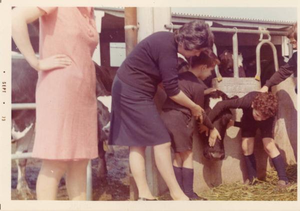 Gita scolastica degli allievi della scuola elementare dell'Istituto dei Ciechi di Milano - Fattoria - Bambini accarezzano una mucca - Insegnante