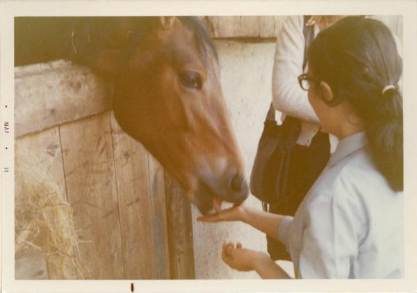 Gita scolastica degli allievi della scuola elementare dell'Istituto dei Ciechi di Milano - Fattoria - Bambina con cavallo
