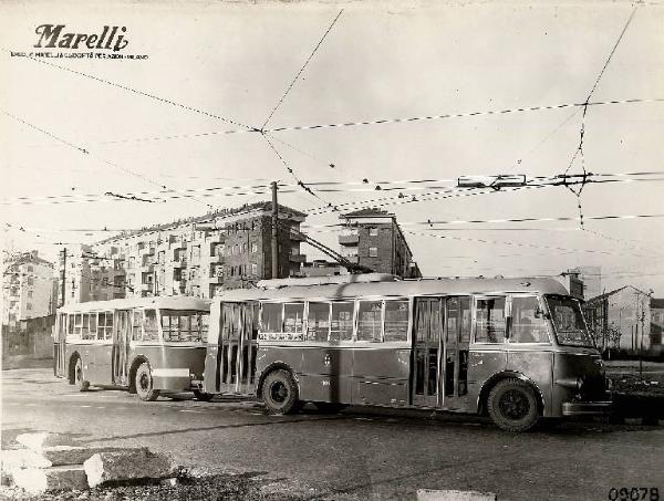 Filobus dell'ATM di Milano