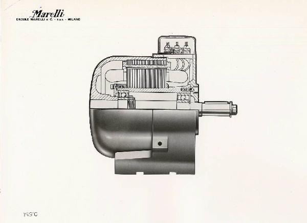 Ercole Marelli (Società) - Motore TRE