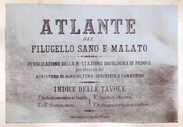 Atlante del filugello sano e malato - frontespizio