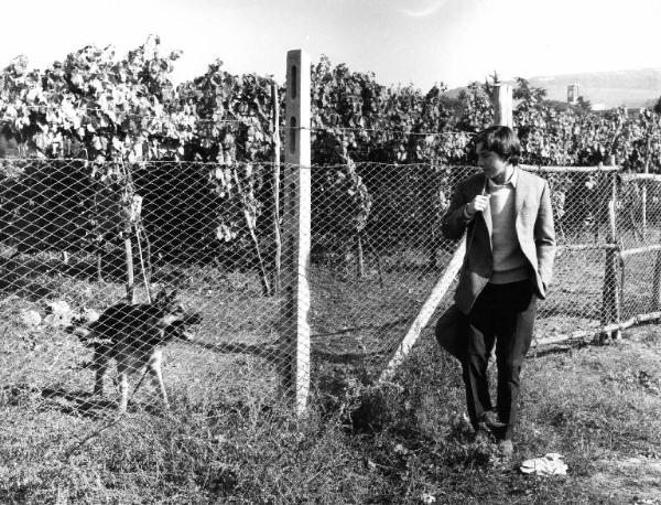 Scena del film "I tulipani di Haarlem" - Regia Franco Brusati - 1970 - L'attore Frank Grimes e un cane