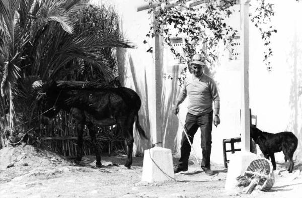 Set del film "Bianco, rosso e..." - Regia Alberto Lattuada - 1972 - Il regista Alberto Lattuada sul set tra un asino e un cane