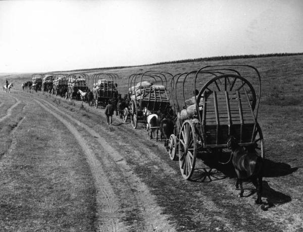 Scena del film "La steppa" - Regia Alberto Lattuada - 1962 - Fila di carri in una strada di campagna. La carovana dei mercanti