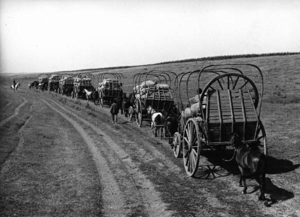 Scena del film "La steppa" - Regia Alberto Lattuada - 1962 - Fila di carri in una strada di campagna. La carovana dei mercanti