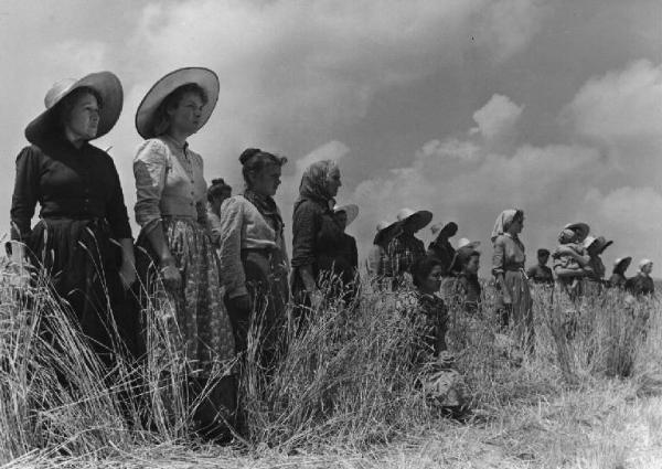 Scena del film "Il mulino del Po" - Regia Alberto Lattuada - 1948 - L'attrice Anna Carena e un gruppo di contadine in un campo di grano