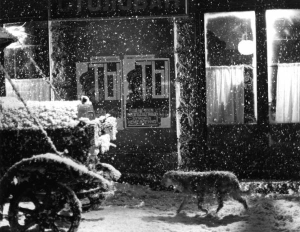 Scena del film "Cuore di cane" - Regia Alberto Lattuada - 1976 - Un cane sotto la neve