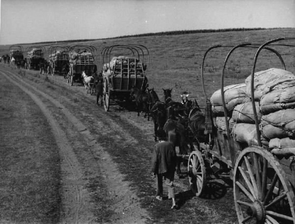 Scena del film "La steppa" - Regia Alberto Lattuada - 1962 - Fila di carri trainati da cavalli lungo un sentiero di campagna