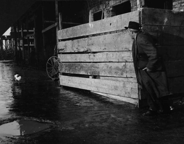 Scena del film "Buongiorno, elefante" - Gianni Franciolini - 1952 - L'attore Vittorio De Sica