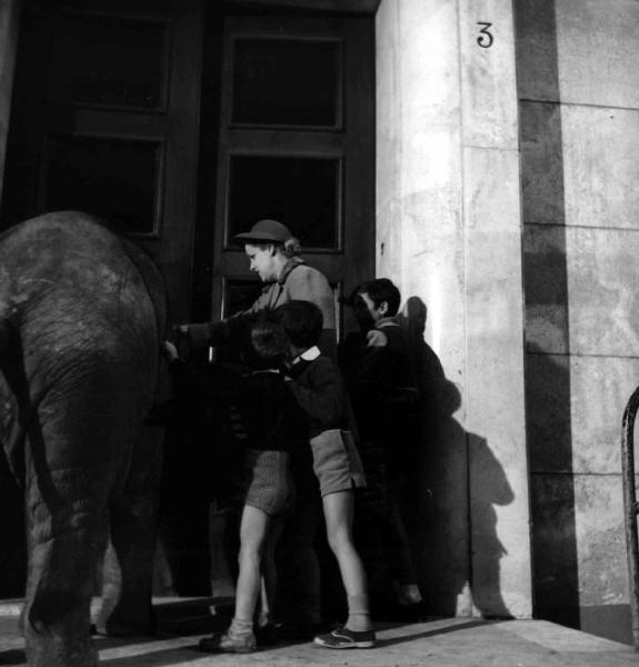 Scena del film "Buongiorno, elefante" - Gianni Franciolini - 1952 - L'attrice Maria Mercader con dei bambini e un elefante