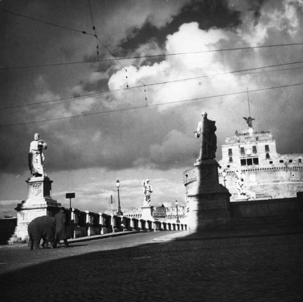 Scena del film "Buongiorno, elefante" - Gianni Franciolini - 1952 - L'attore Vittorio De Sica e un elefante sul ponte Sant'Angelo si dirigono verso Castel Sant'Angelo