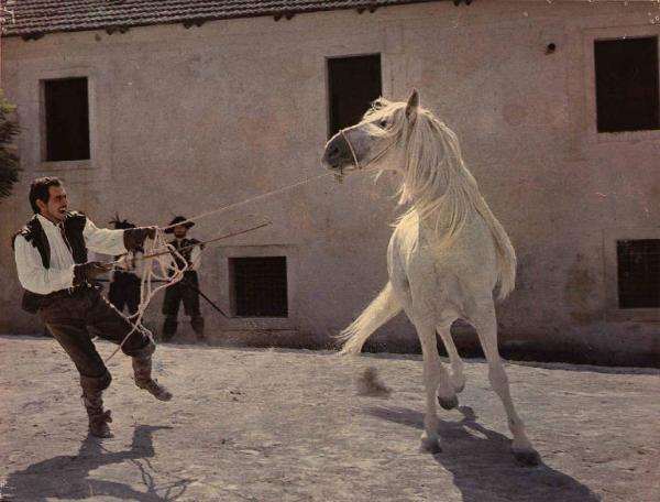 Scena del film "C'era una volta" - Regia Francesco Rosi - 1967 - L'attore Omar Sharif doma un cavallo