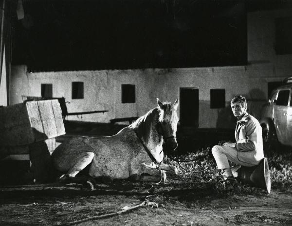 Scena del film "Eroe vagabondo" - Regia Walter Santesso, 1966 - Walter Santesso, seduto su una campana, rivolge lo sguardo verso l'obbiettivo mentre un cavallo seduto davanti a lui, lo osserva.