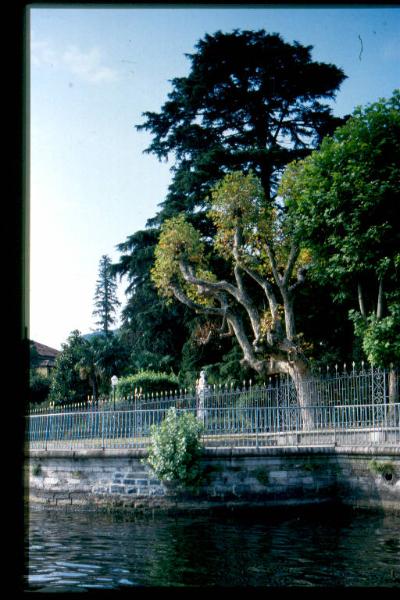 Giardino di Villa Gallia visto dal lago