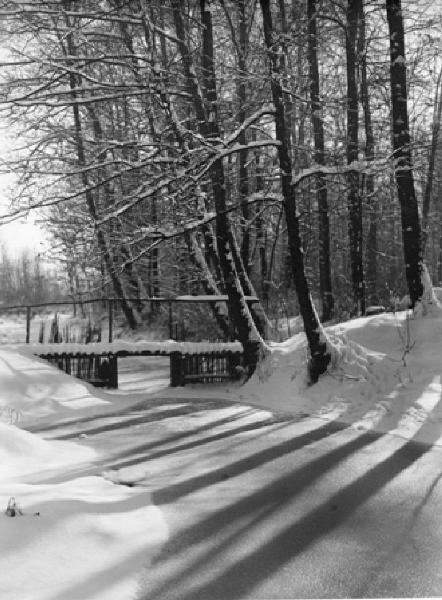 Pavia - Paesaggio innevato