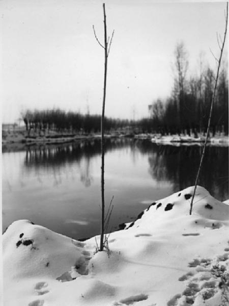 Pavia - Paesaggio innevato