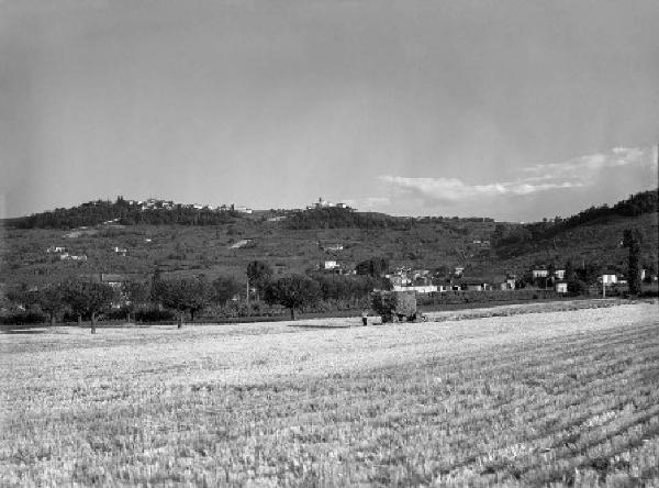 Oltrepo pavese - Mietitura del grano - Carro con uomo