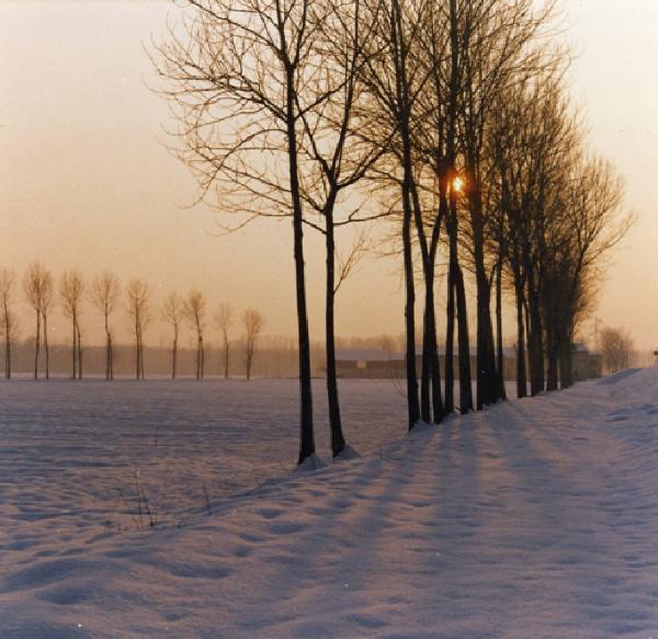 Pavia - Veduta della campagna pavese