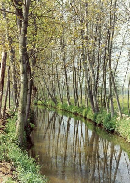 Pavia - Veduta della campagna pavese con corso d'acqua