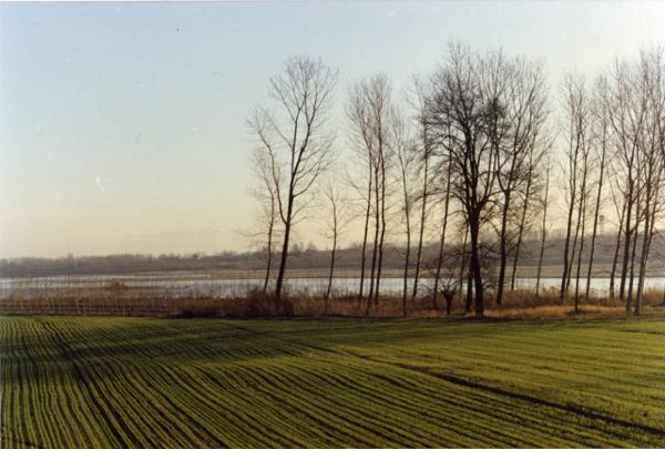 Pavia - Veduta della campagna pavese lungo il Ticino