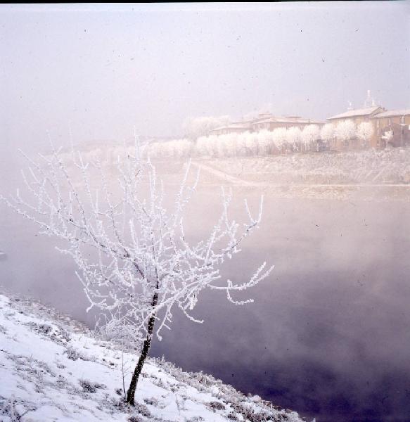 Pavia - Veduta innevata della città lungo il Ticino