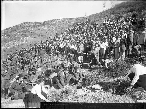 Passo del Penice - Milizia Nazionale Forestale - Festa degli alberi - Gruppo di giovani appartenenti alla Gioventù Italiana del Littorio (GIL) osservano alcuni membri della Milizia forestale mentre piantano piccoli alberi