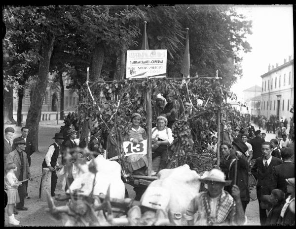 Pavia - Viale Matteotti - 3° Festa nazionale dell'uva - Carro allegorico realizzato dalla cooperativa di San Pietro in Verzolo decorato con tralci di vite e grappoli d'uva trainato da due buoi - Folla di persone