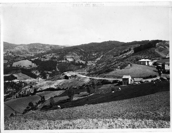 Passo del Brallo - Veduta - Colline - Abitazioni - Bovini al pascolo