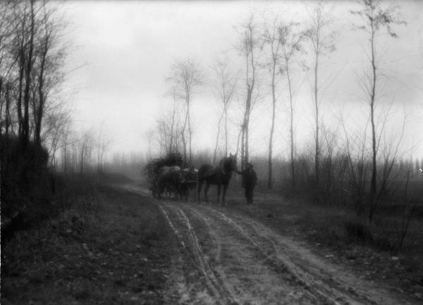 Pavia - Campagna - Carro