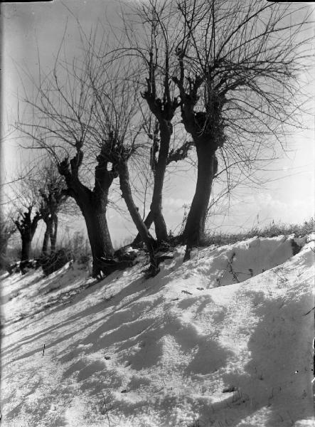 Pavia - Campagna innevata