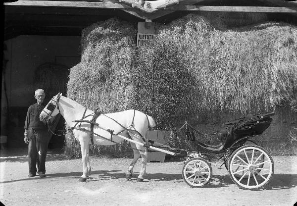 Pavia - via Baldo degli Ubaldi - Stabilimento Cav. Tacconi, S. Pietro in Verzolo - cortile - cavallo