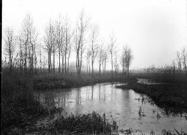 Pavia - campagna - Ticino - lanca