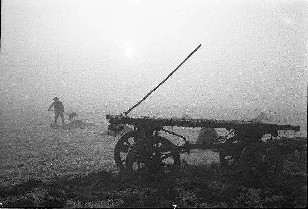 Pavia - campagna - lavoro agricolo - carro