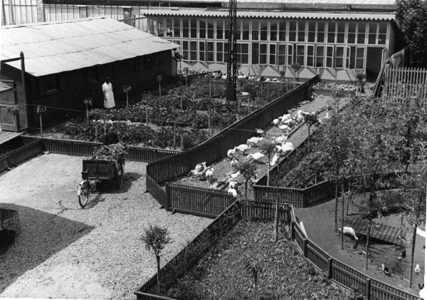 Pavia - Officine del Genio - Arsenale - Fattoria