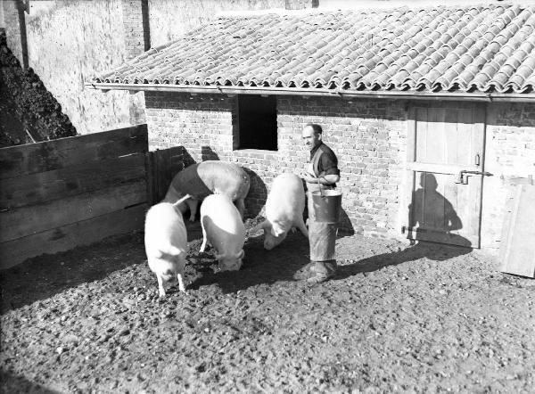 Pavia - Officine del Genio - Arsenale - Maiali