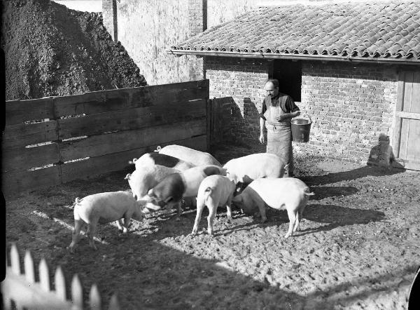 Pavia - Officine del Genio - Arsenale - Maiali