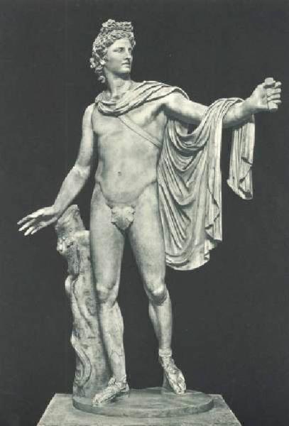 Scultura - Statua di Apollo di Belvedere - Calamide - Città del Vaticano - Musei Vaticani