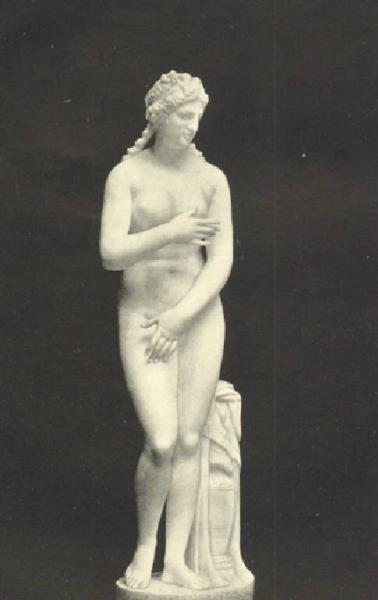 Scultura - Venere Capitolina - Roma - Museo Capitolino - Palazzo Nuovo - Gabinetto della Venere